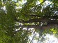 WP_20160927_11_27_12_Pro.jpg